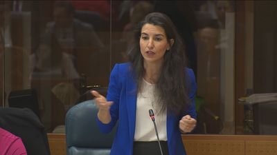 Vox exige revisar "euro por euro" las subvenciones de la Comunidad de Madrid