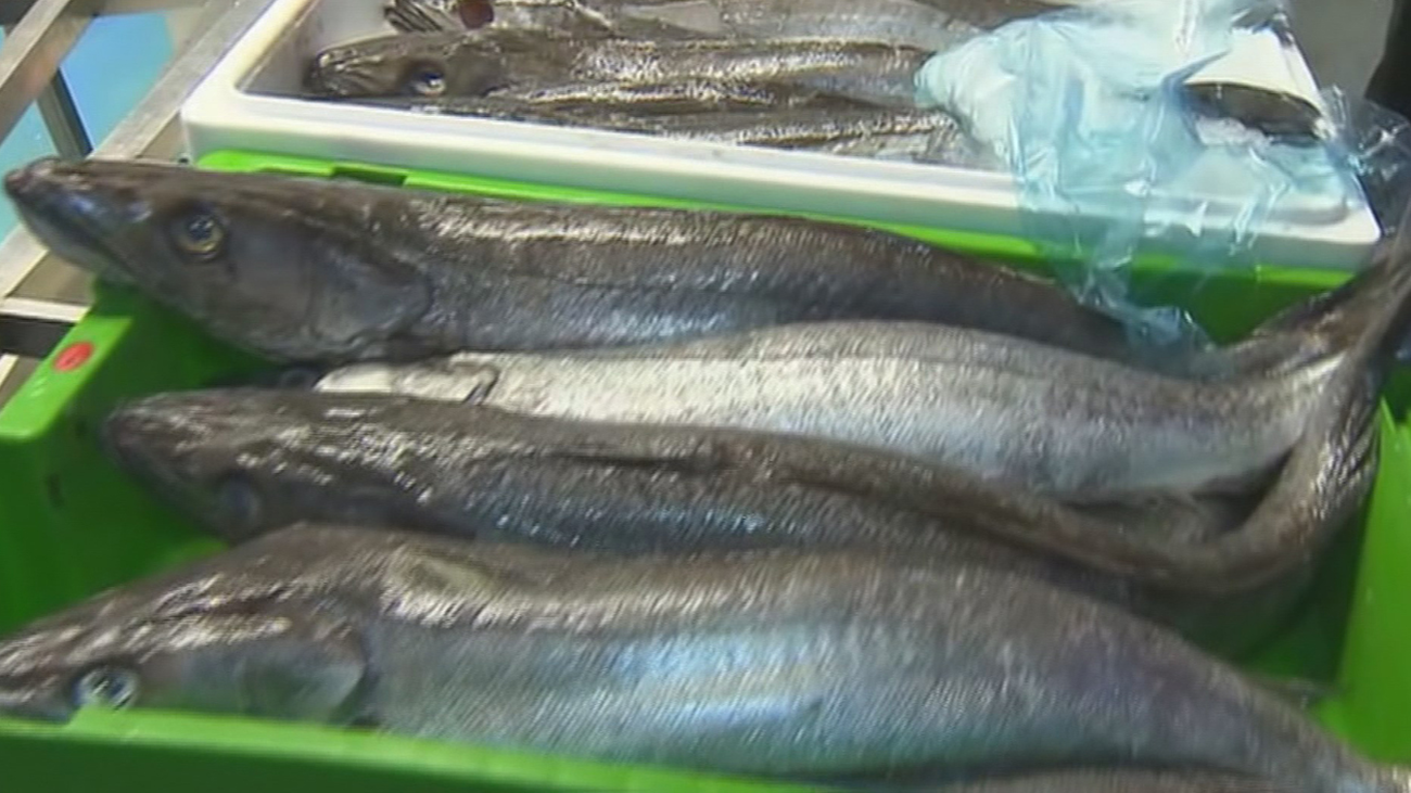 El marisco y el pescado aumentan a las puertas de la navidad