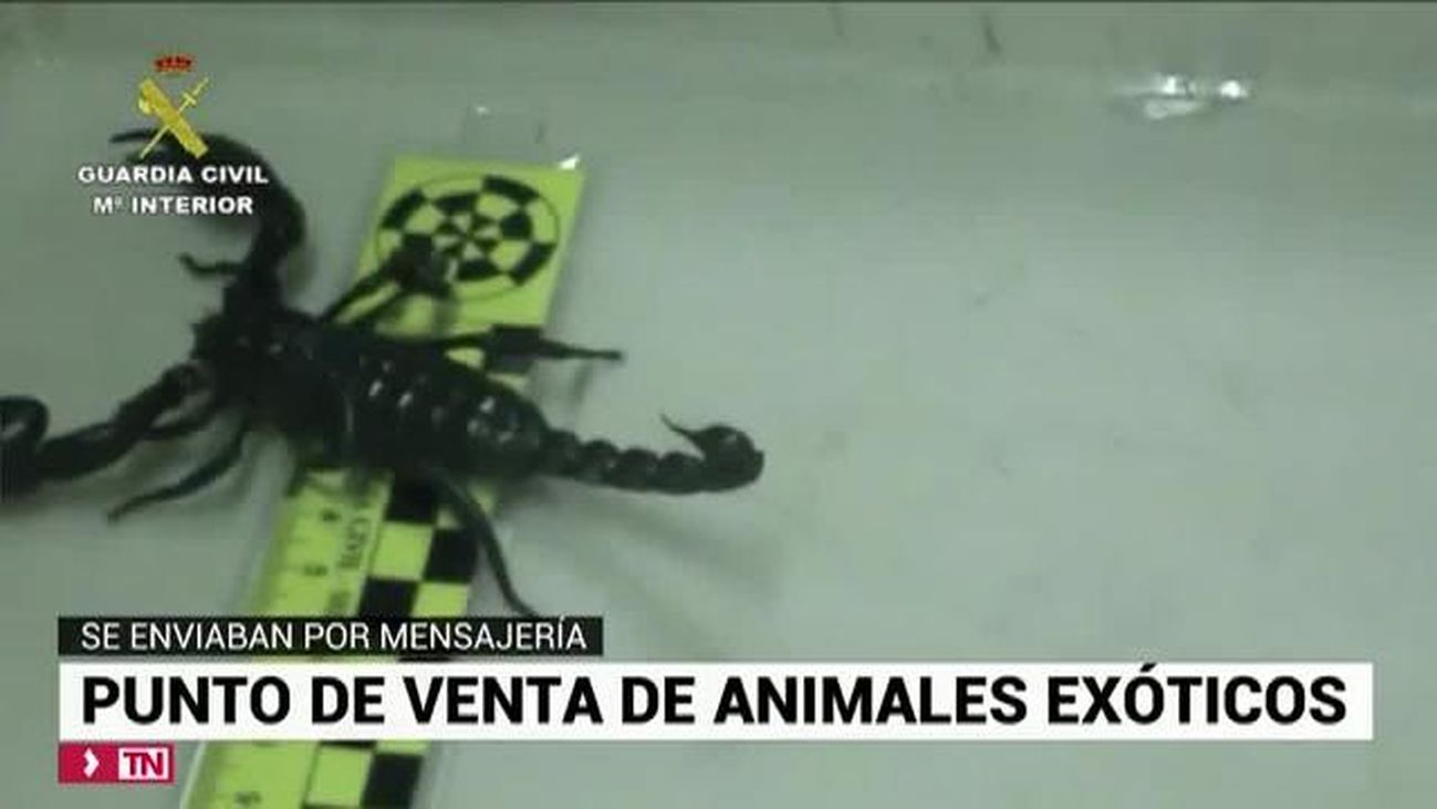 Telenoticias 1 20.12.2019