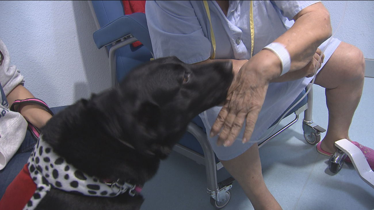 Los Magos de Oriente del Severo Ochoa