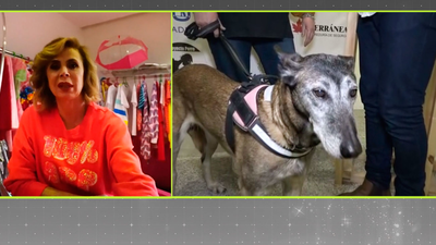 Adopta un perro policía jubilado