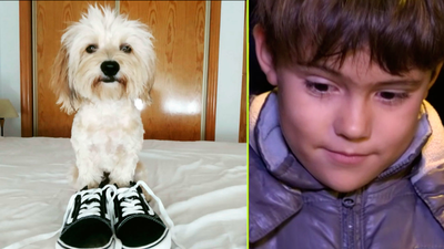 La emotiva carta de un niño a Papá Noel para recuperar a su mascota