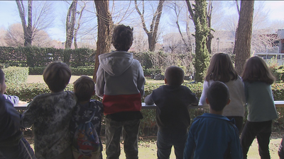 La Comunidad programa actividades especiales para niños en las Bibliotecas por Navidad