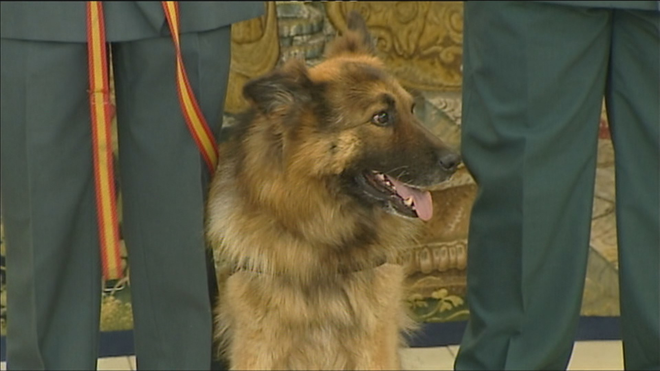 Ajax, el héroe olvidado