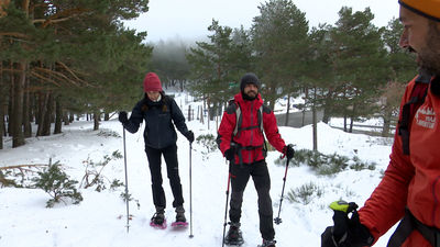 Las raquetas también son para la nieve