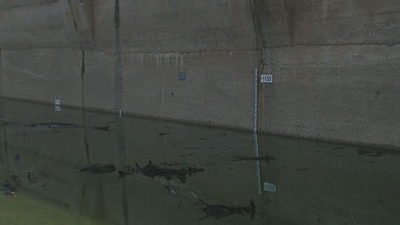 El pantano de Navacerrada, al 69% de su capacidad