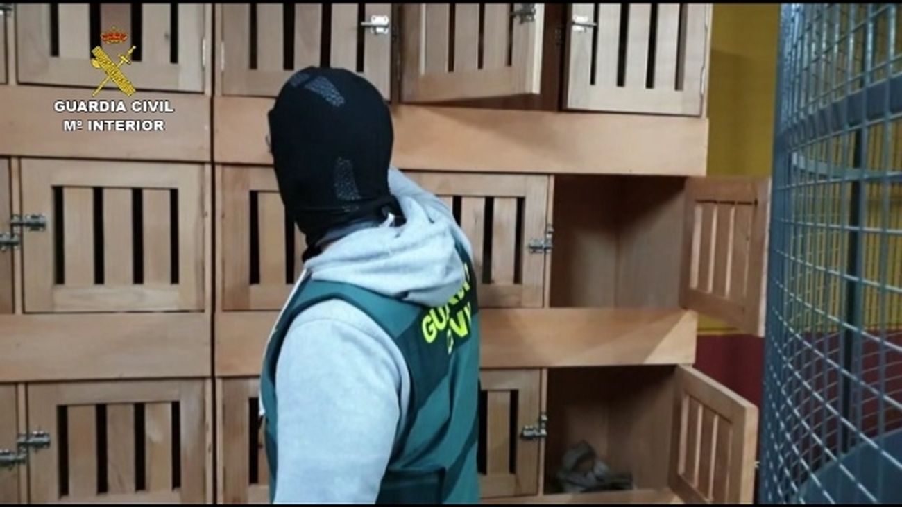 La Guardia Civil desarticula una red delictiva dedicada a “dar vuelcos” de hachís a otras organizaciones