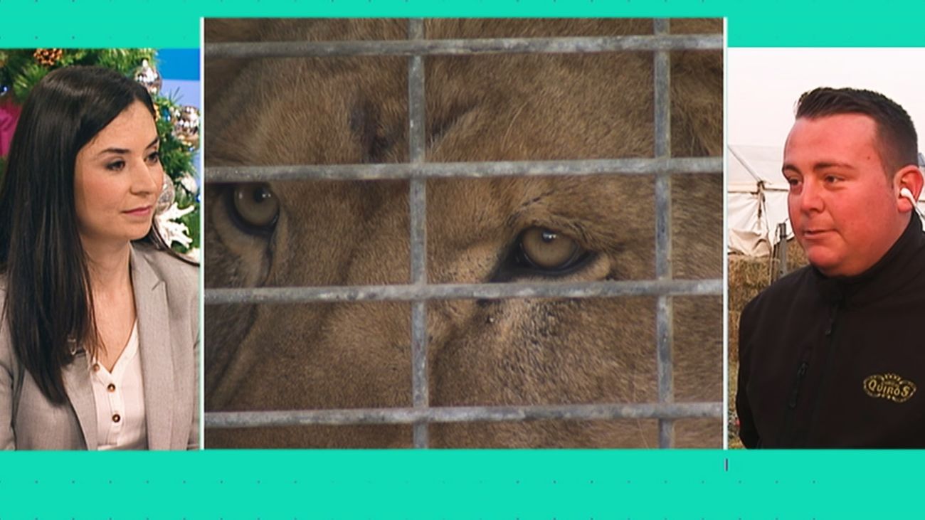 Está Pasando 03.01.2020