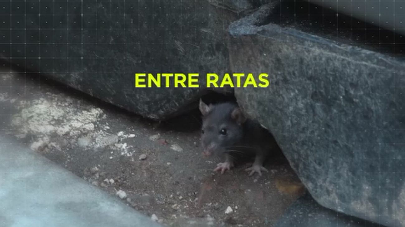 Madrid Directo 07.01.2020