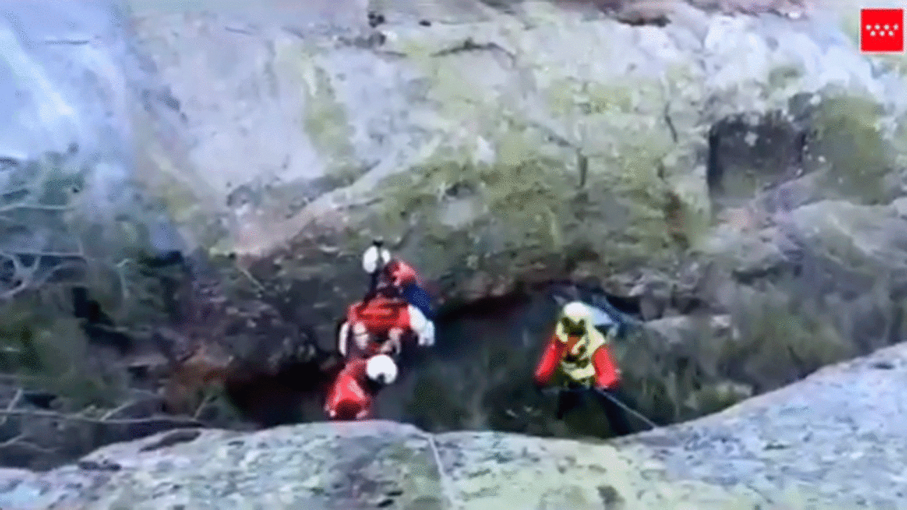 El GERA rescata una perra en La Pedriza