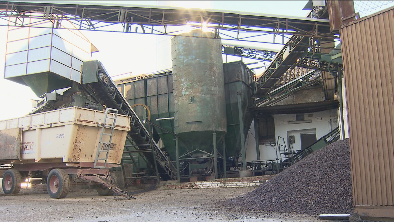 Visitamos la almazara de Villarejo de Salvanés