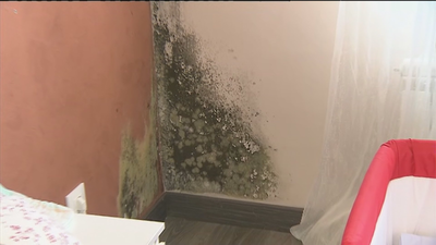 Las humedades invaden a una familia de Coslada y el casero se olvida de ella