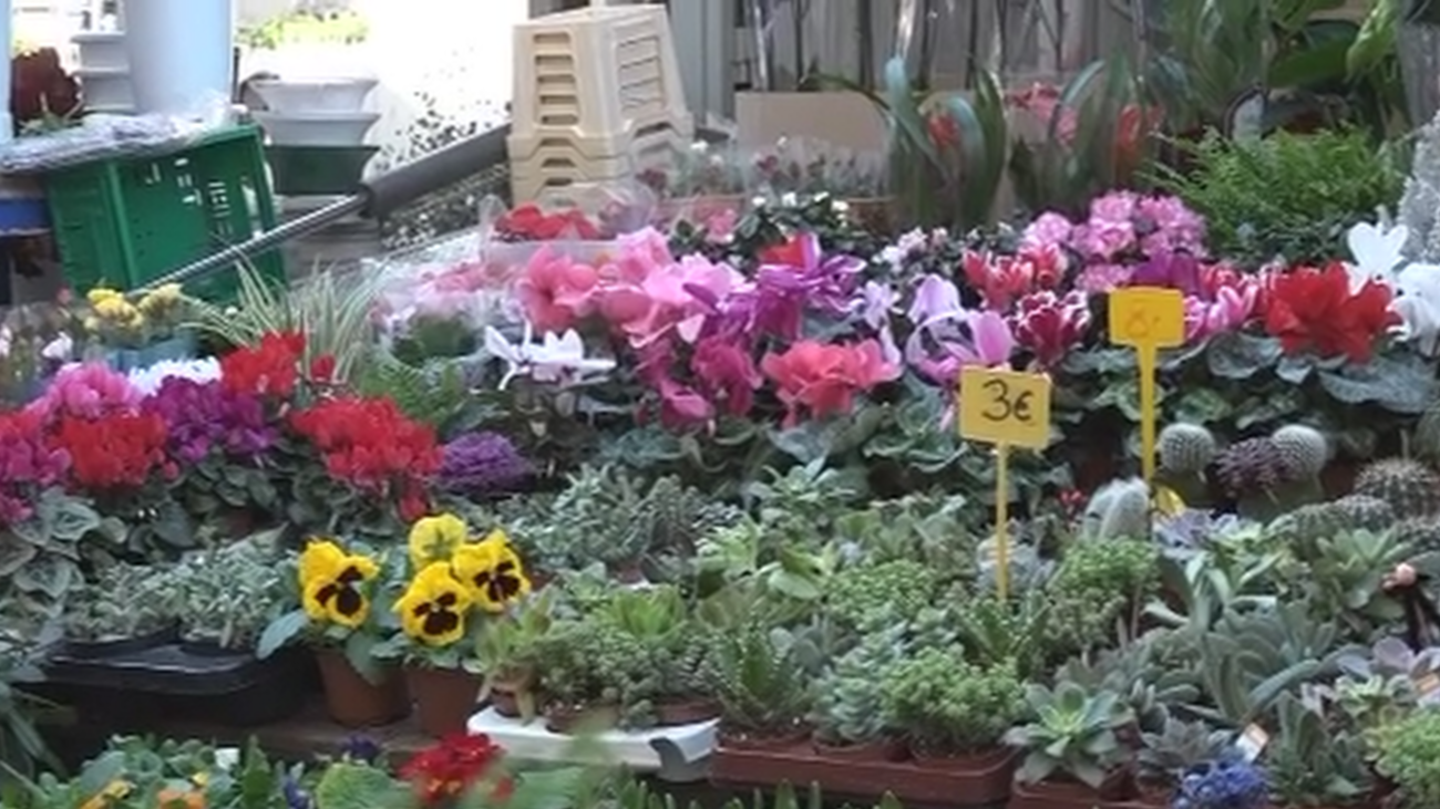 Así vive uno de los floristas de Tirso de Molina