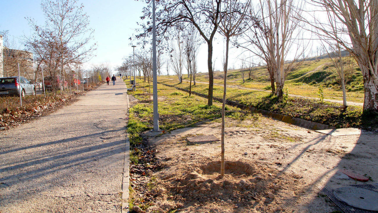 Alcobendas planta 300 árboles