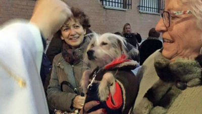 Los veterinarios serán homenajeados en las fiestas de San Antón, cuya pregonera será Irene Villa