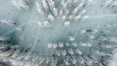 Paisajes congelados por la cencellada