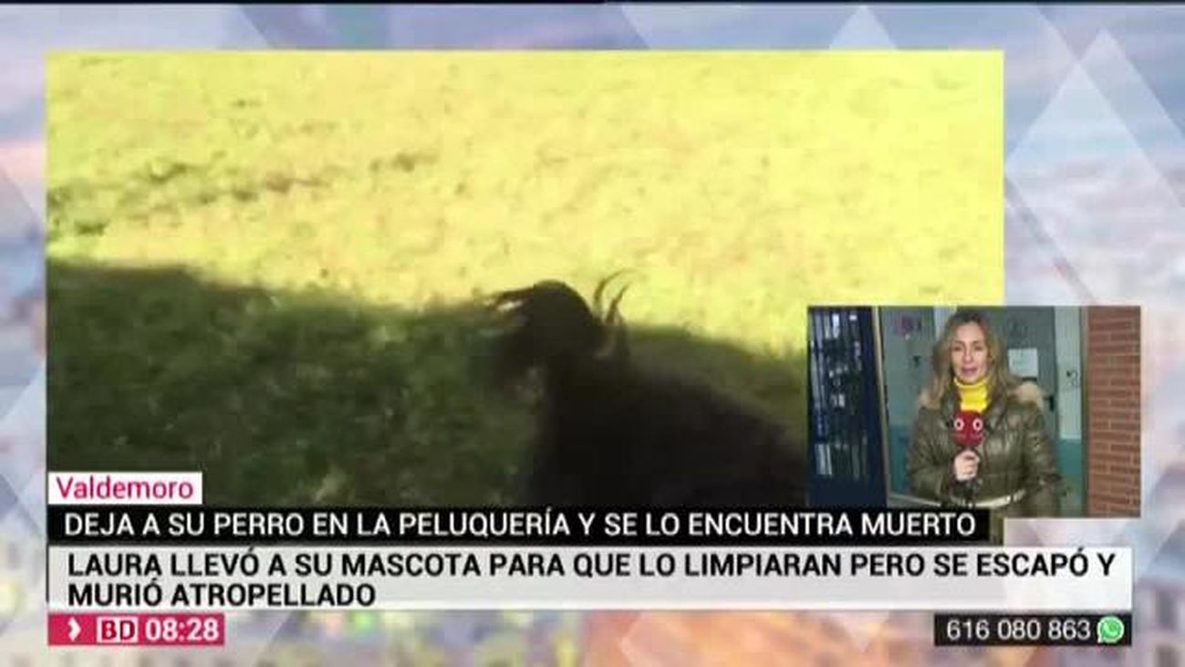 Buenos Días Madrid 16.01.2020 (8.00 - 9.00)