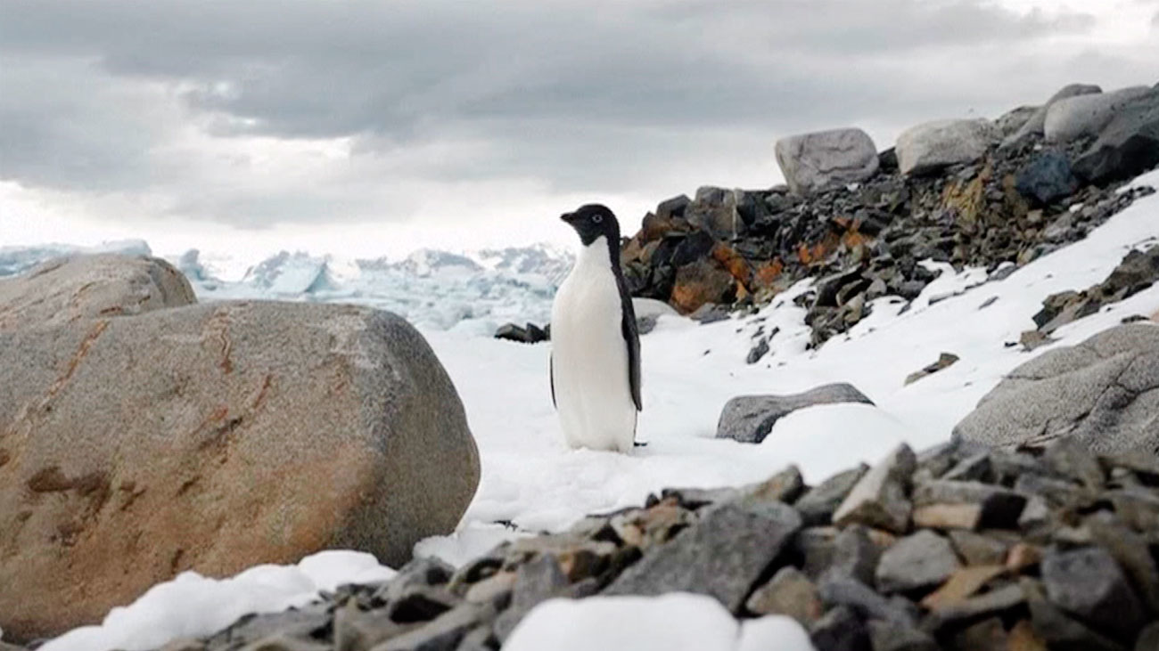 La Antártida se derrite