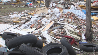 'El bosque de los horrores', en Leganés