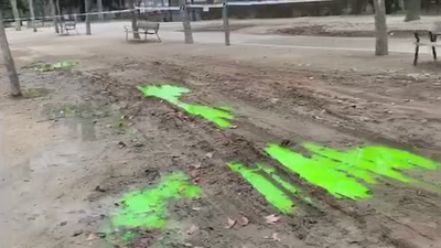 Preocupación por un extraño 'moco tóxico' en Prosperidad