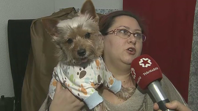 Sin música en la calle esta vez durante la bendición de San Antón