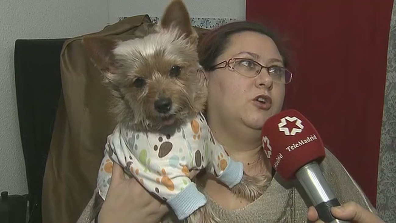 Sin música en la calle esta vez durante la bendición de San Antón