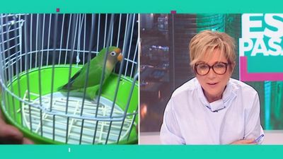 Está Pasando 17.01.2020