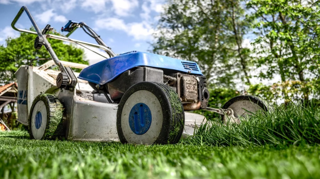 Se buscan jardineros para trabajar en Pozuelo de Alarcón