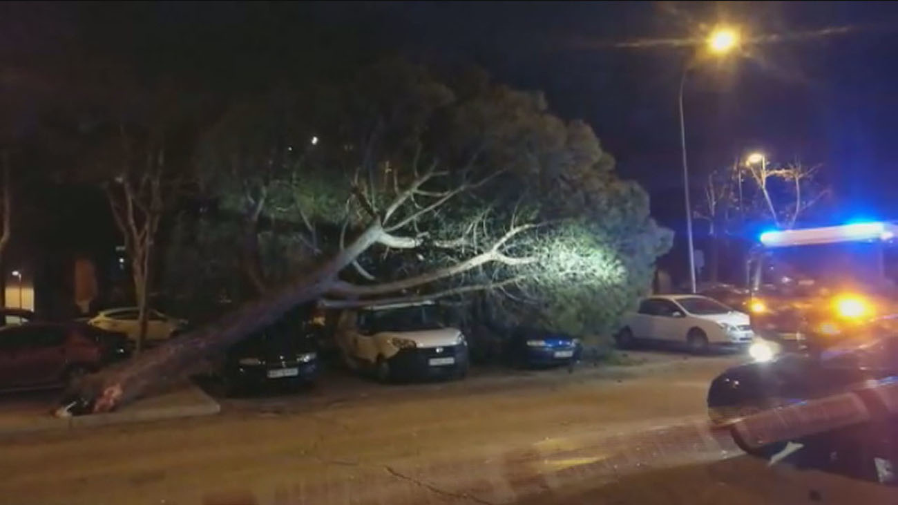 Aemet activa el aviso amarillo por viento en la zona Metropolitana y Henares