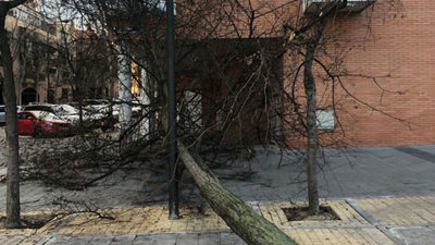 La Policía de Getafe realiza 15 intervenciones por la borrasca Gloria