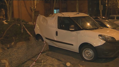 Los servicios de emergencias atienden en Madrid más de 500 avisos por viento