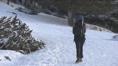 Regresa la nieve a la sierra madrileña