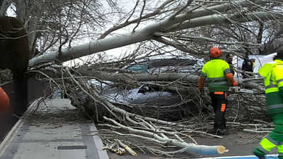 El viento hace estragos en Las Rozas