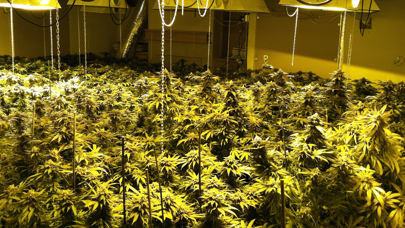 La banda de Valdebernardo que distribuía heronía escondía la droga en pienso para perros