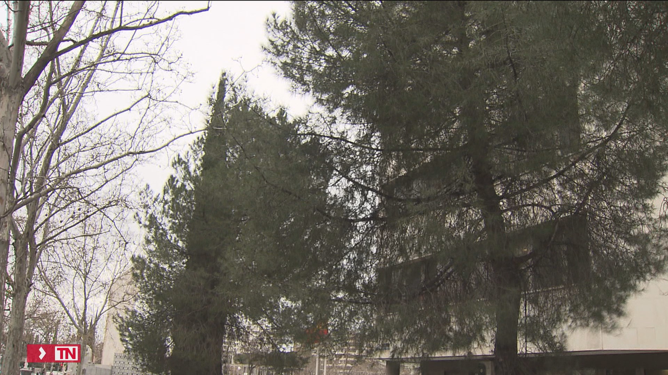 El Retiro y el resto de parques cerrados por viento reabren este miércoles