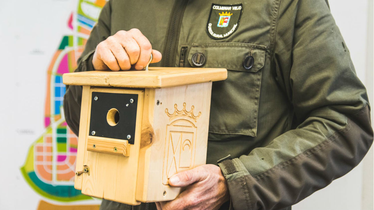 Caja nido para carbonero y murciélago