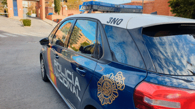 Quince detenidos por la venta ilícita de más de 200 coches obtenidos con estafa y extorsión