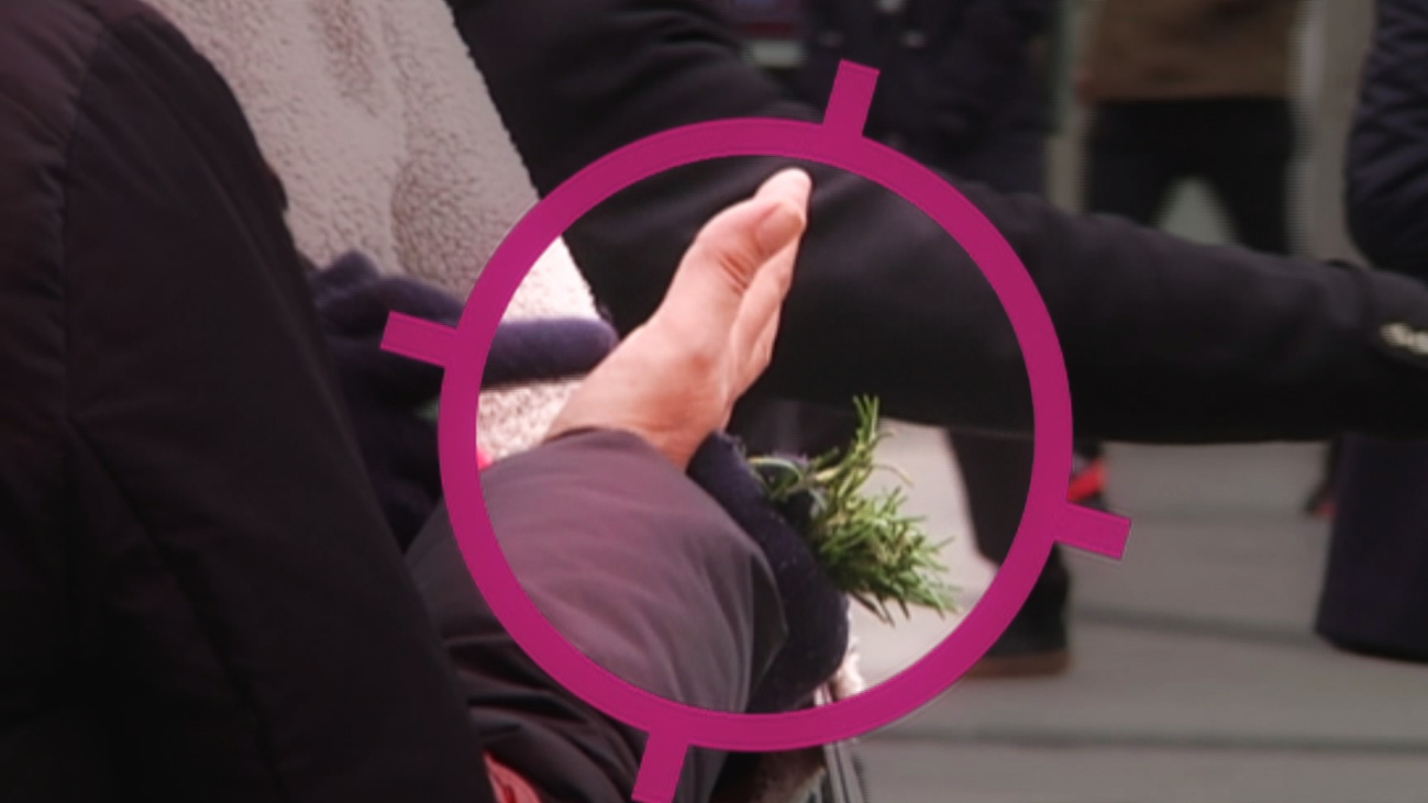 El negocio de las mujeres que reparten romero en la Puerta del Sol