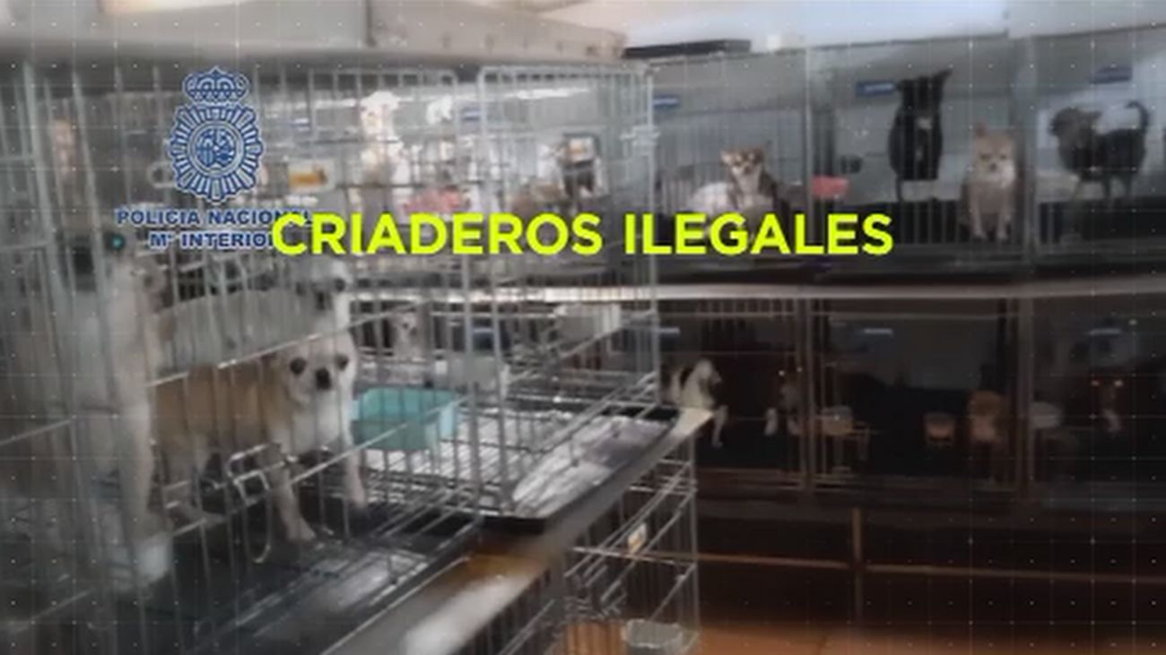 Madrid Directo 23.01.2020