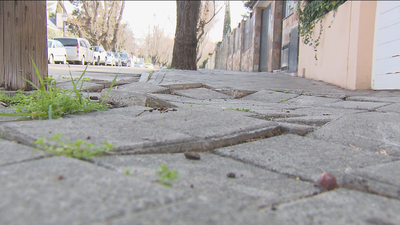 Pasear por Mirasierra, deporte de alto riesgo