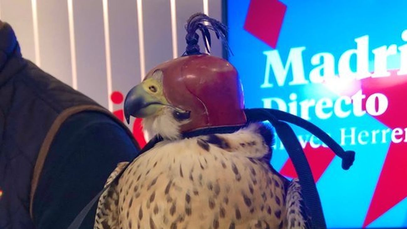 Nacho Sierra habla de cetrería, con David Calvo, dtor. del documental "Los sueños del aire" y Jorge Castaño, halconero del Wanda Metropolitano