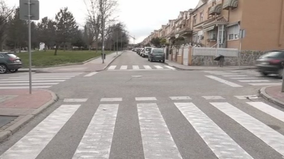 Pide ayuda para localizar al conductor que la atropelló junto a su perra en Valdemoro