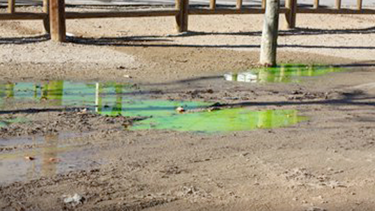 La Asociación de Feriantes deberá pagar 58.000 euros por el vertido del parque de Berlín