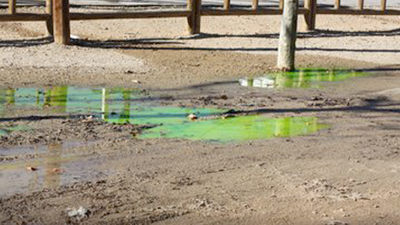 La Asociación de Feriantes deberá pagar 58.000 euros por el vertido del parque de Berlín