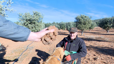A la caza de la trufa, el oro negro de la cocina