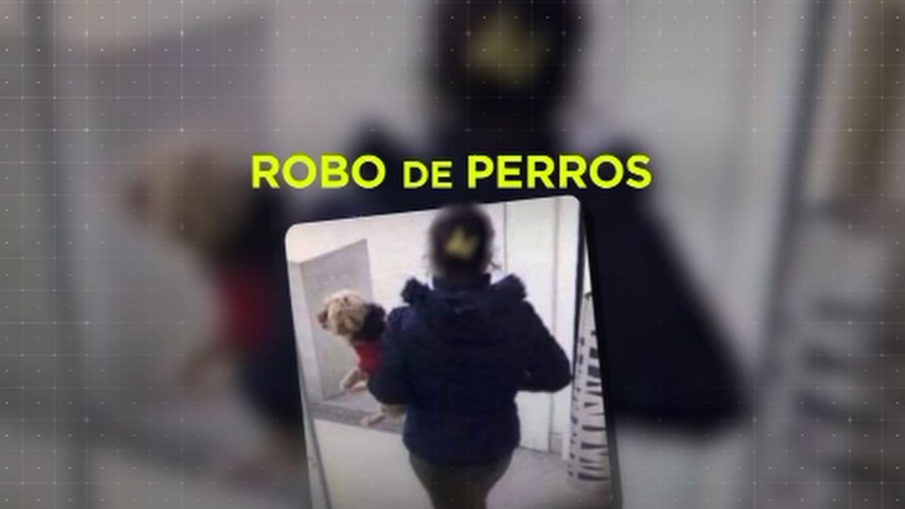 Madrid Directo 29.01.2020