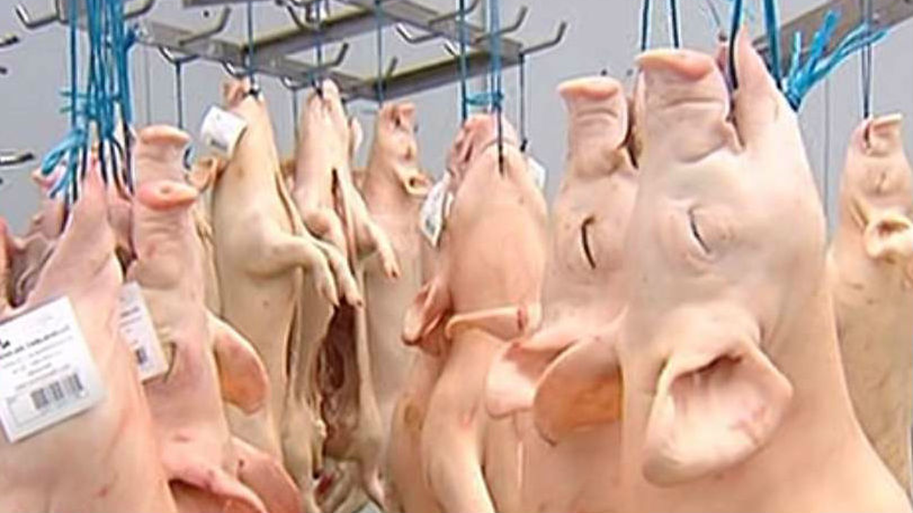 Piden instalar cámaras en mataderos para evitar casos como los de Collado Villalba y Villarejo de Salvanés