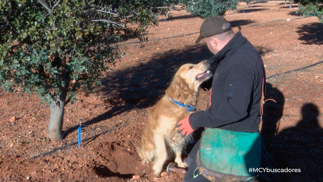 El roce entre ellos y la relación de humanos y los animales hace el cariño