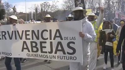 Los apicultores piden limitar el uso de pesticidas