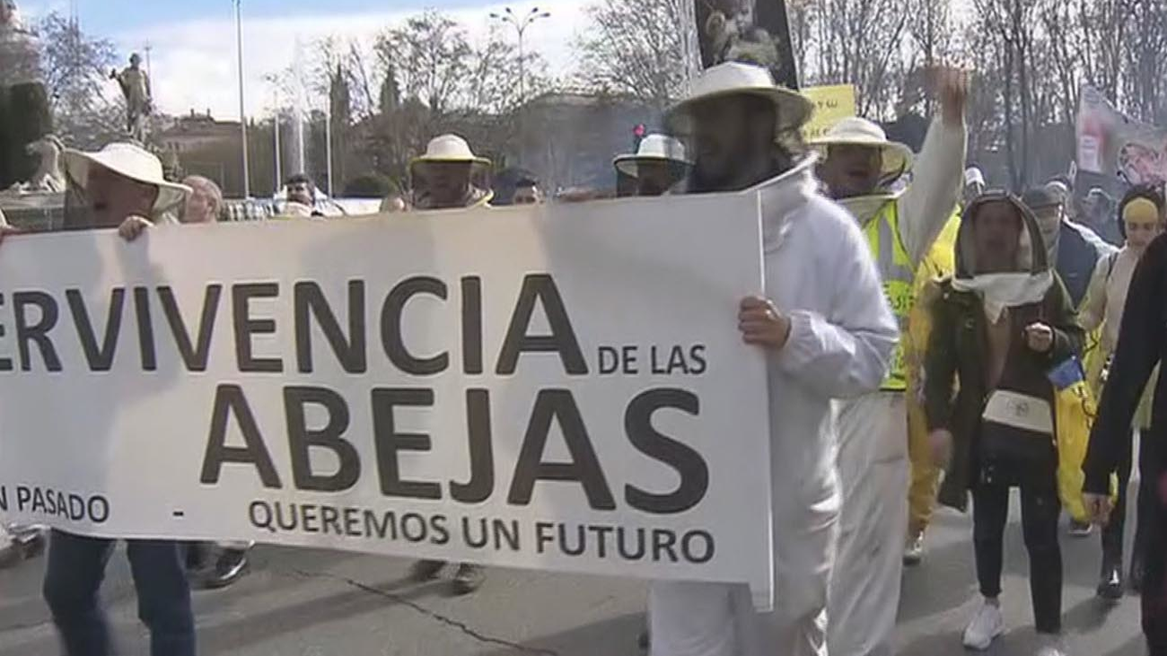 Los apicultores piden limitar el uso de pesticidas